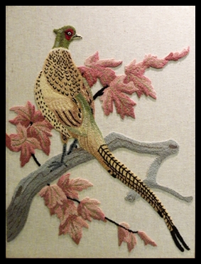 Pheasant - Shirley Hiltz