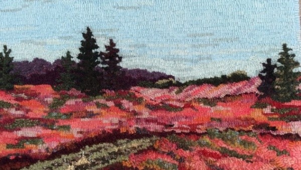 Autumn Blueberry Fields, September 28, 2024